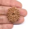 10 Mukhi Rudraksha from Nepal by Astrology Matrix