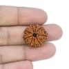 9 Mukhi Rudraksha from Nepal by Astrology Matrix